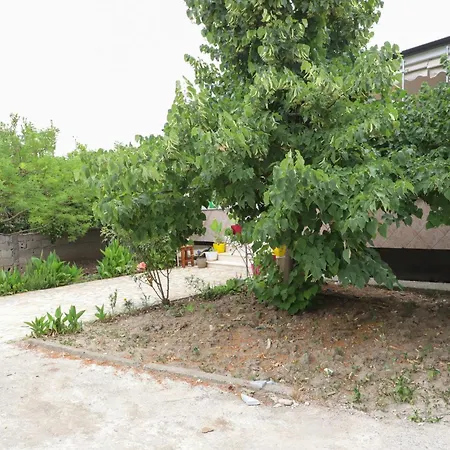 Xheison Apartment