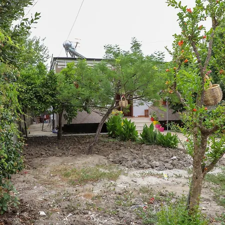 Xheison Apartment